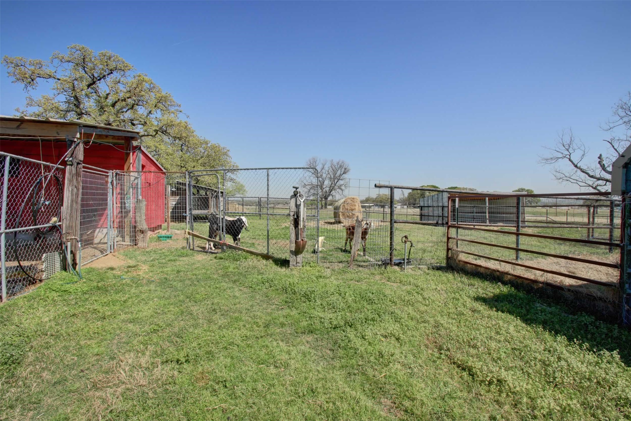 3559 Springfield Road Springtown TX 76082