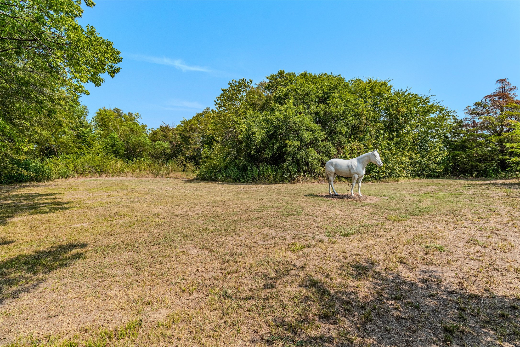 6394 State Highway 276 W Royse City TX 75189