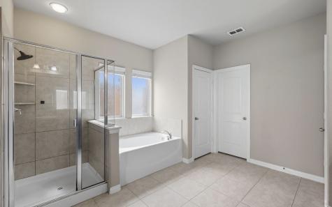 2509 Castle Creek Drive Little Elm TX 75068