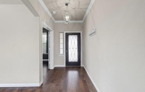 2509 Castle Creek Drive Little Elm TX 75068