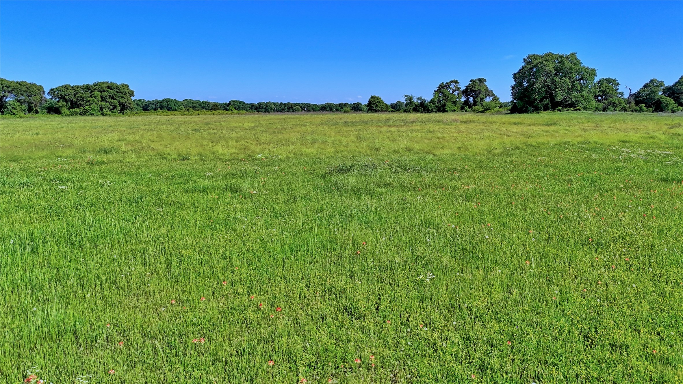 433 Fruitland Road Bowie TX 76230