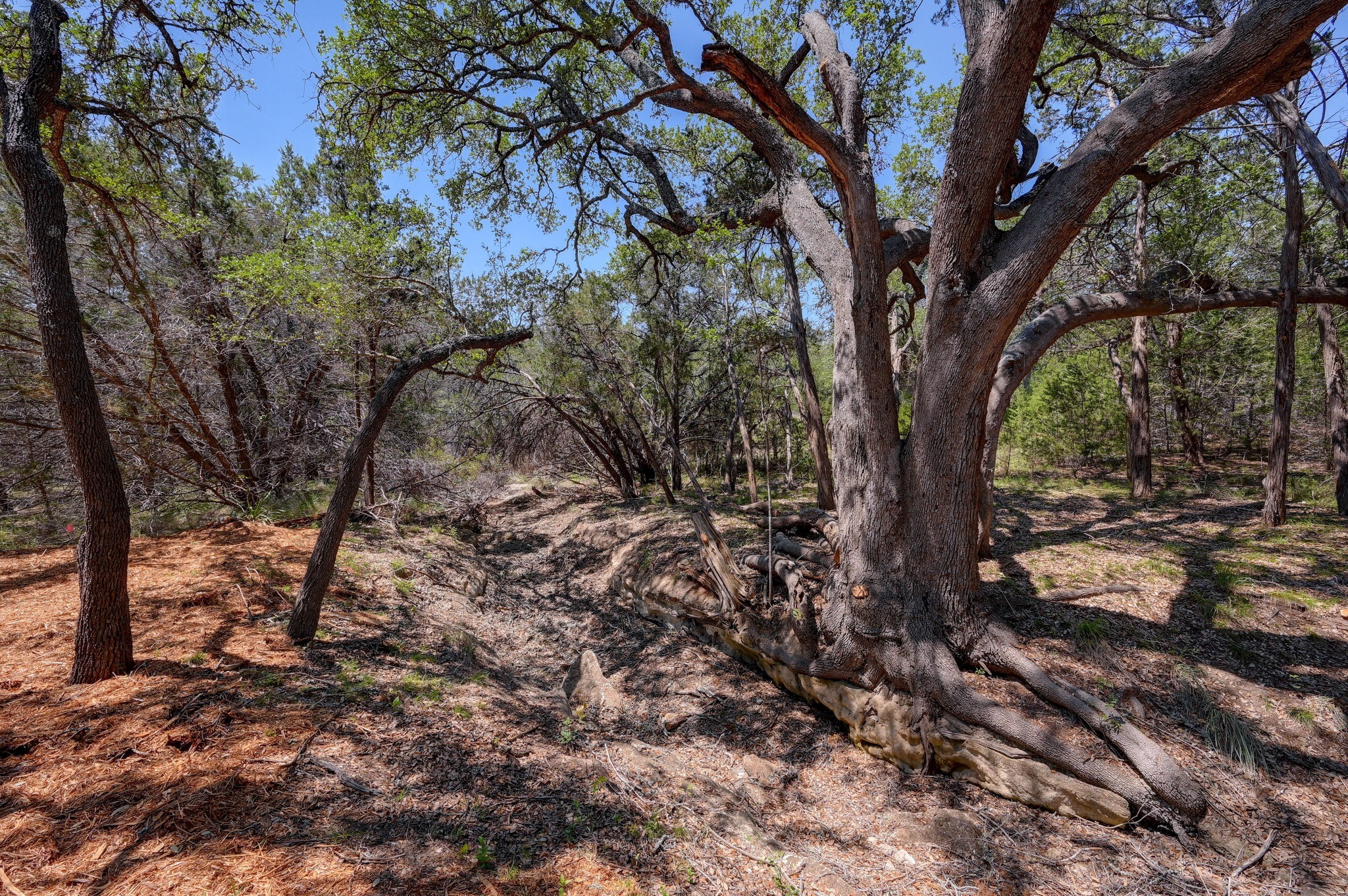 15425 Fitzhugh Road Dripping Springs TX 78620