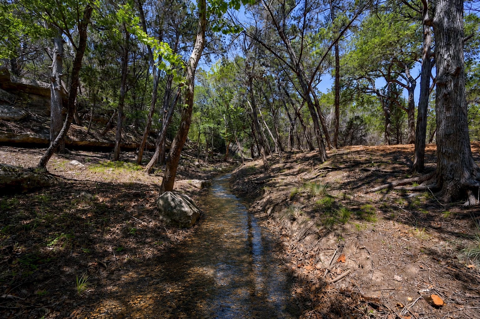15425 Fitzhugh Road Dripping Springs TX 78620