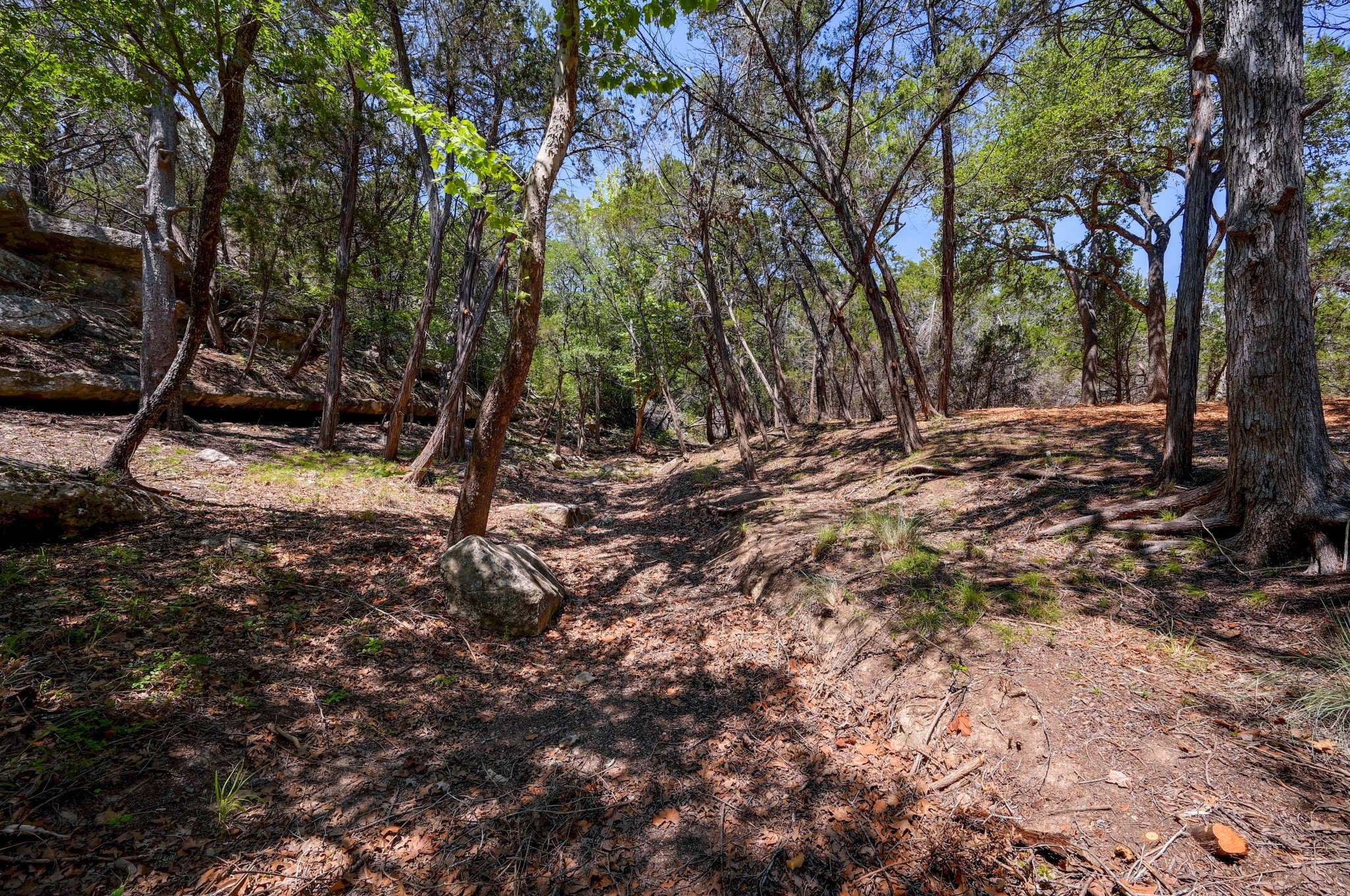 15425 Fitzhugh Road Dripping Springs TX 78620
