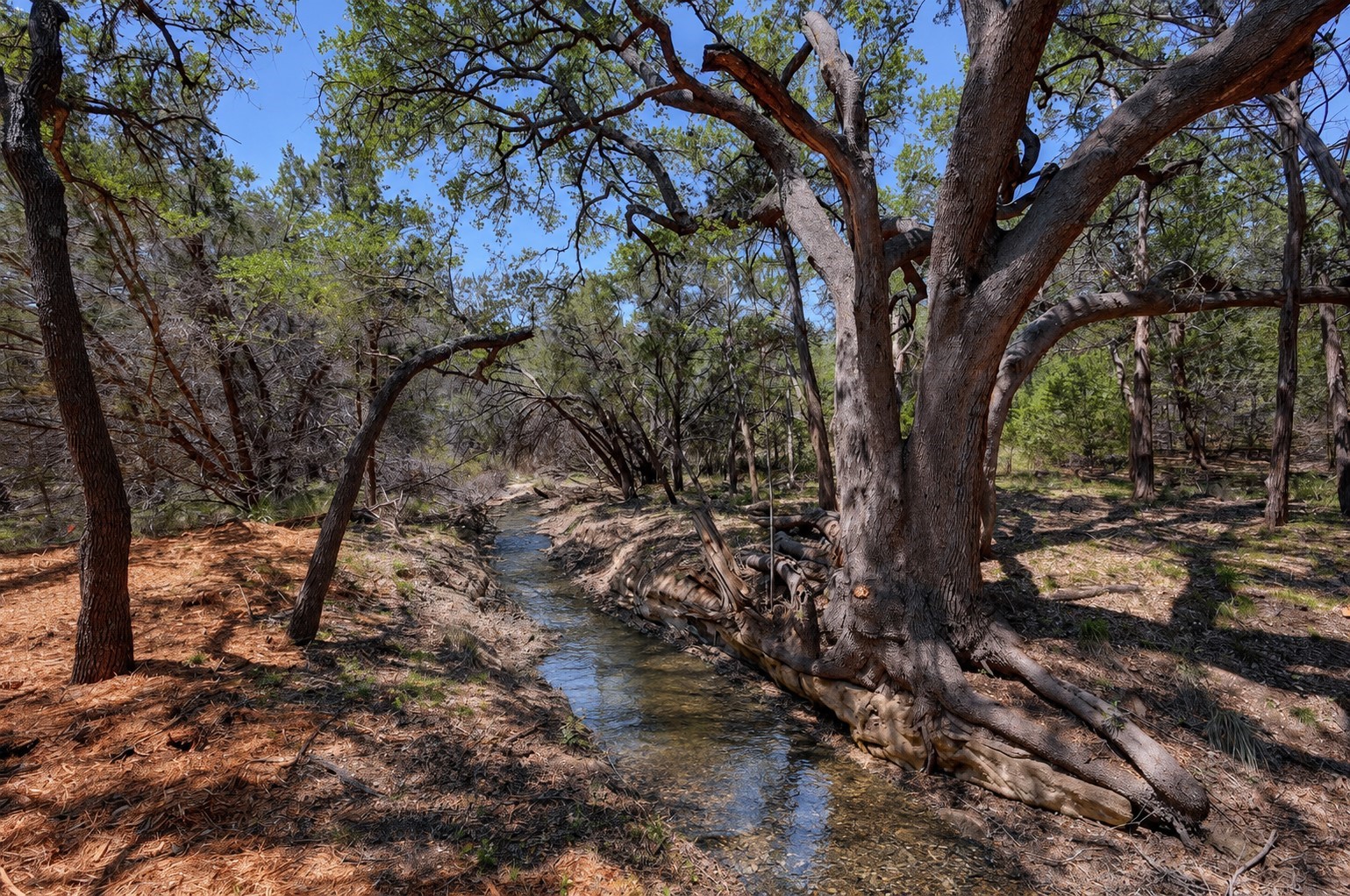 15425 Fitzhugh Road Dripping Springs TX 78620