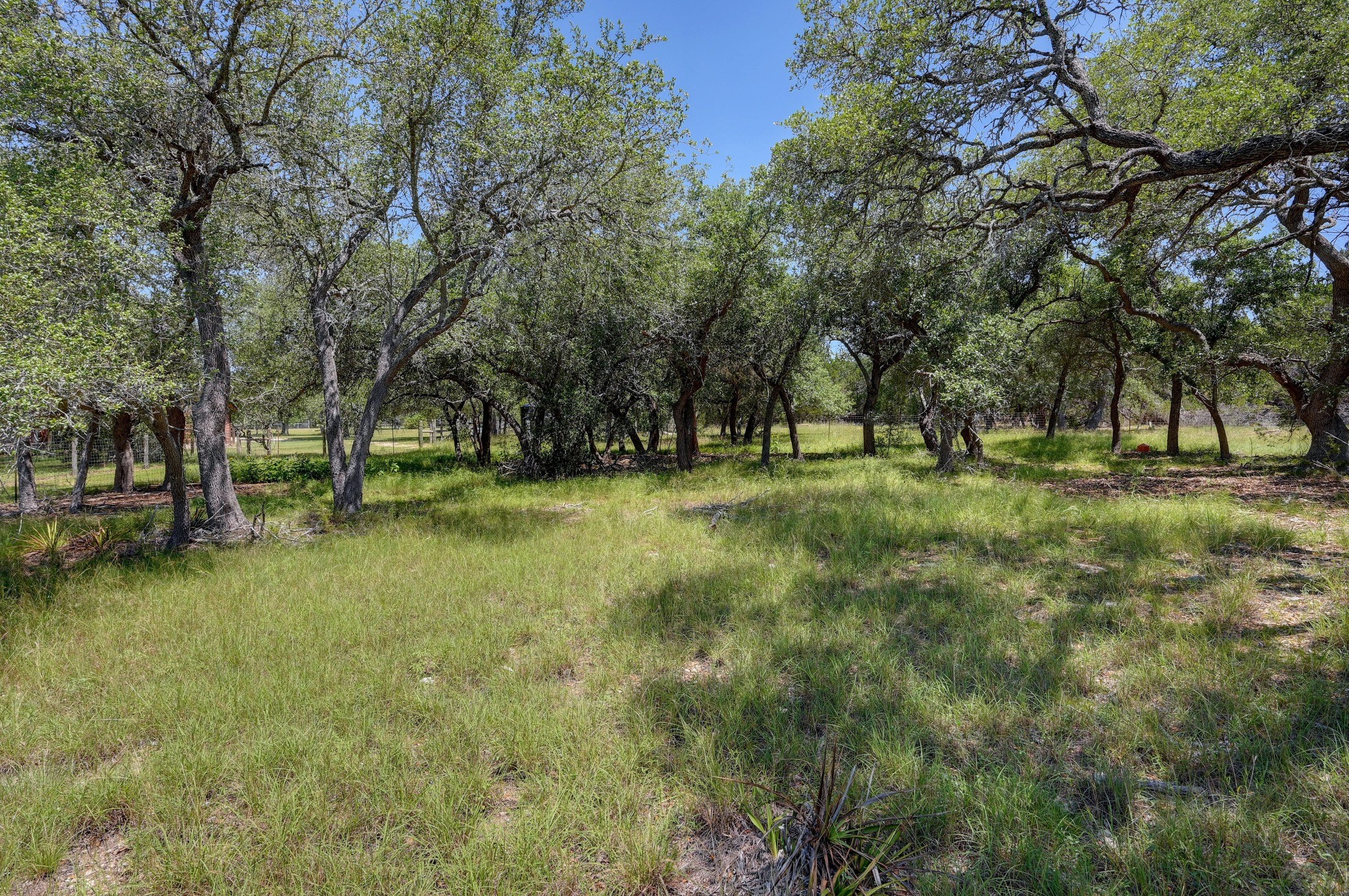 15425 Fitzhugh Road Dripping Springs TX 78620