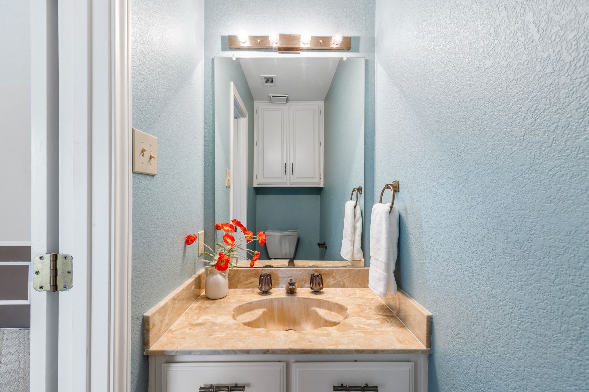 533 Hidden Brooke Drive Desoto TX 75115