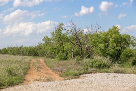 970 County Road 256 Coleman TX 76834
