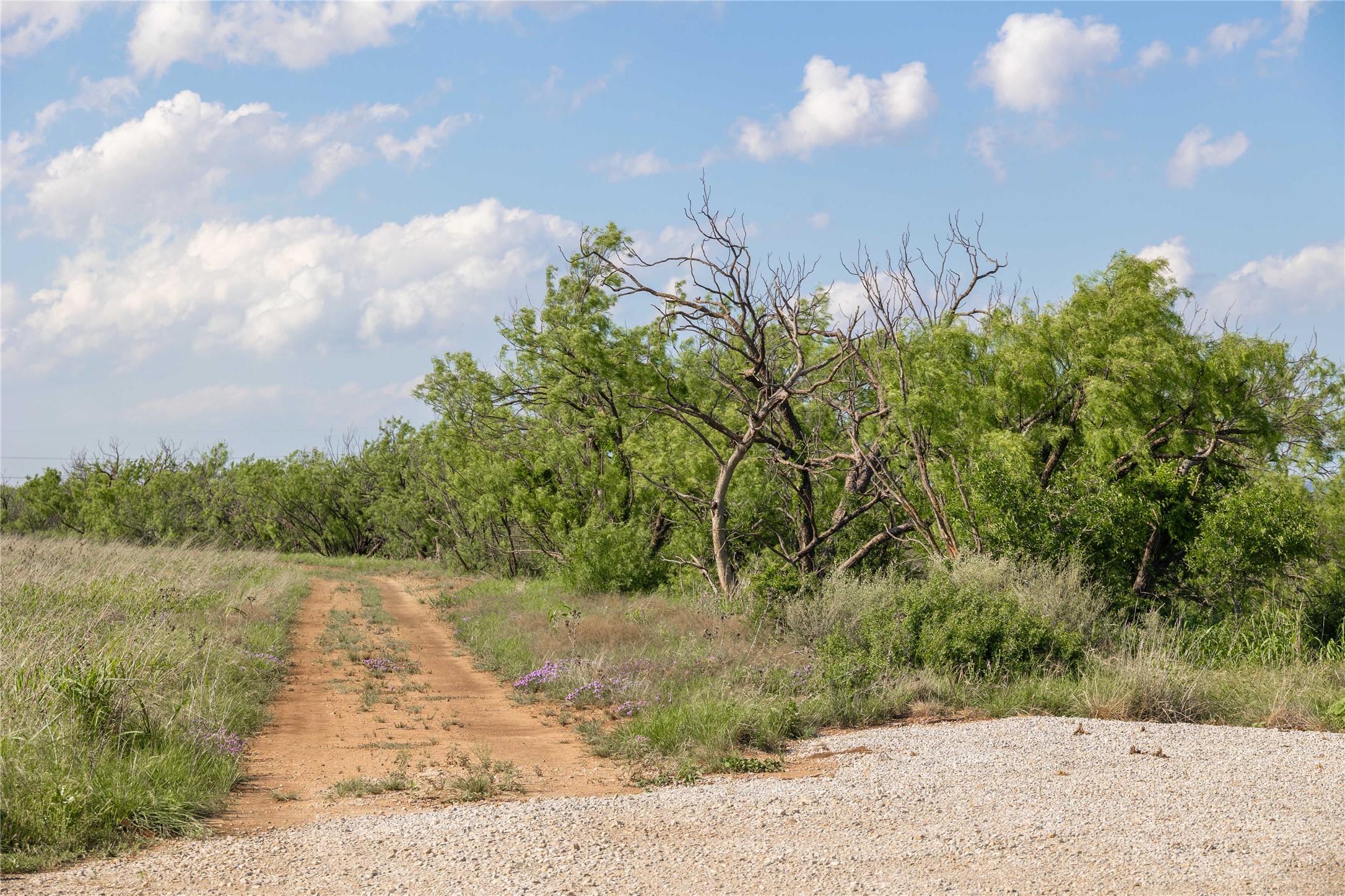 970 County Road 256 Coleman TX 76834