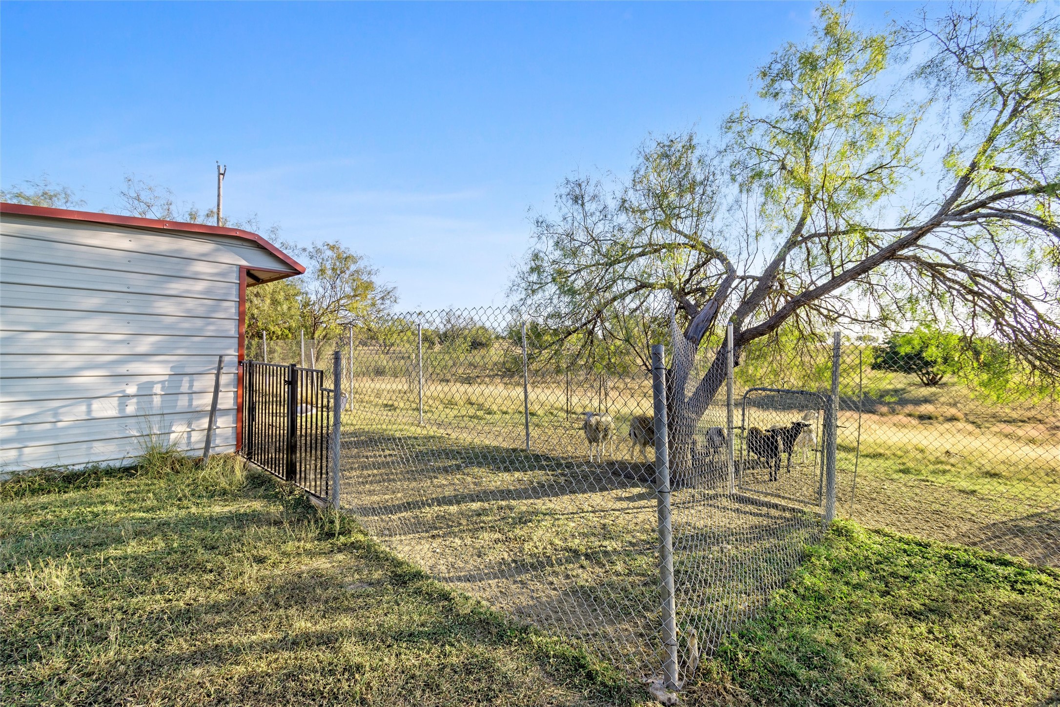 260 Fm 3118 Clifton TX 76634
