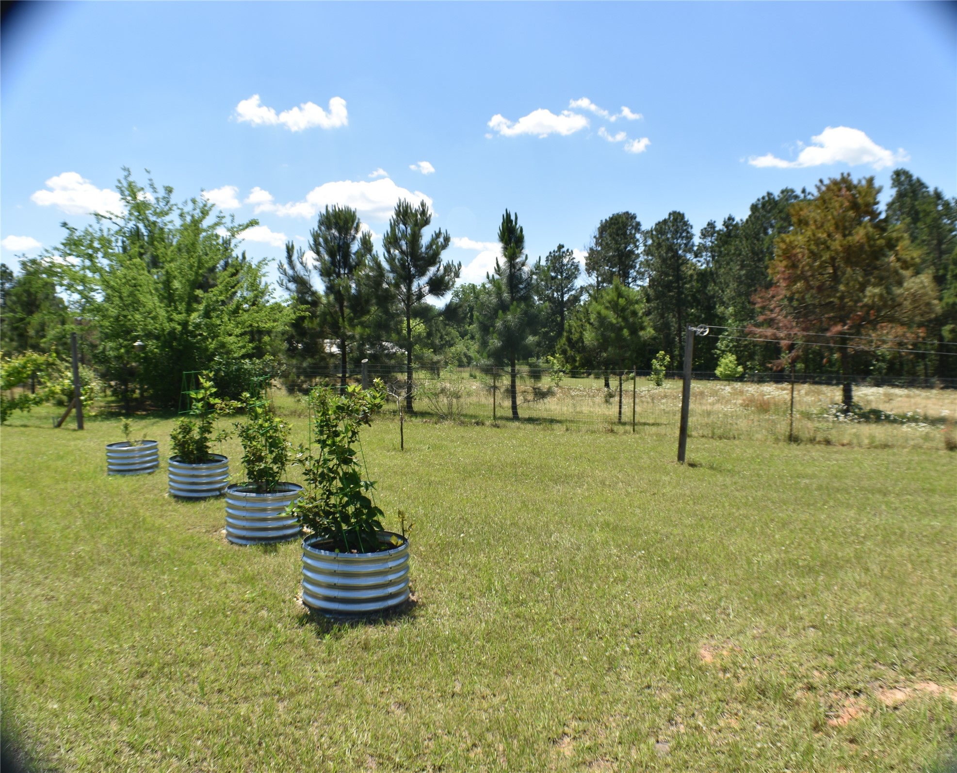 134 County Road 2749 Mineola TX 75773