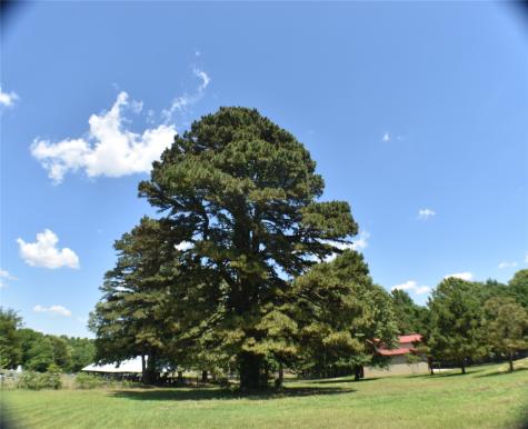 134 County Road 2749 Mineola TX 75773