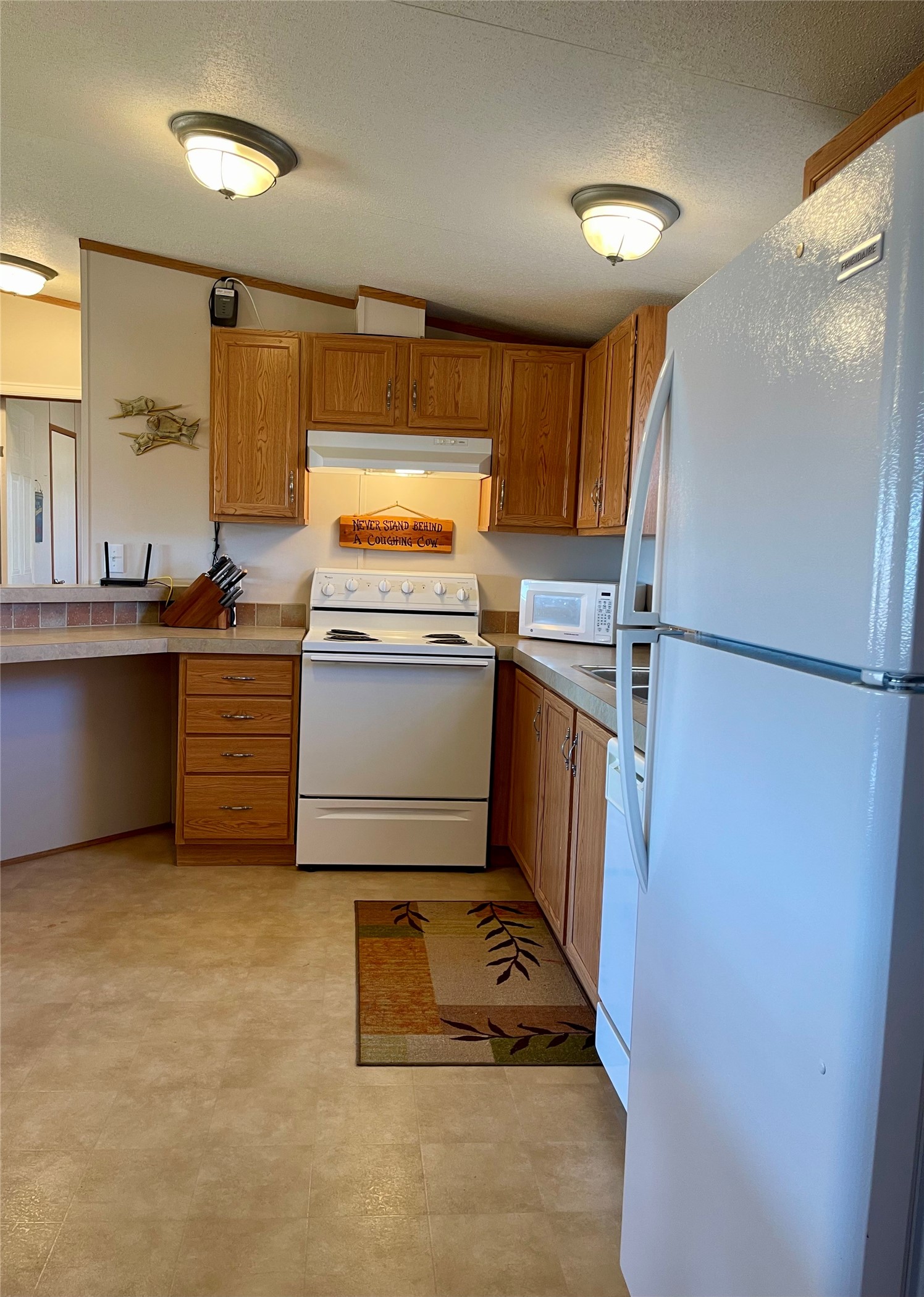 2334 Sanbar Road Possum Kingdom Lake TX 76449