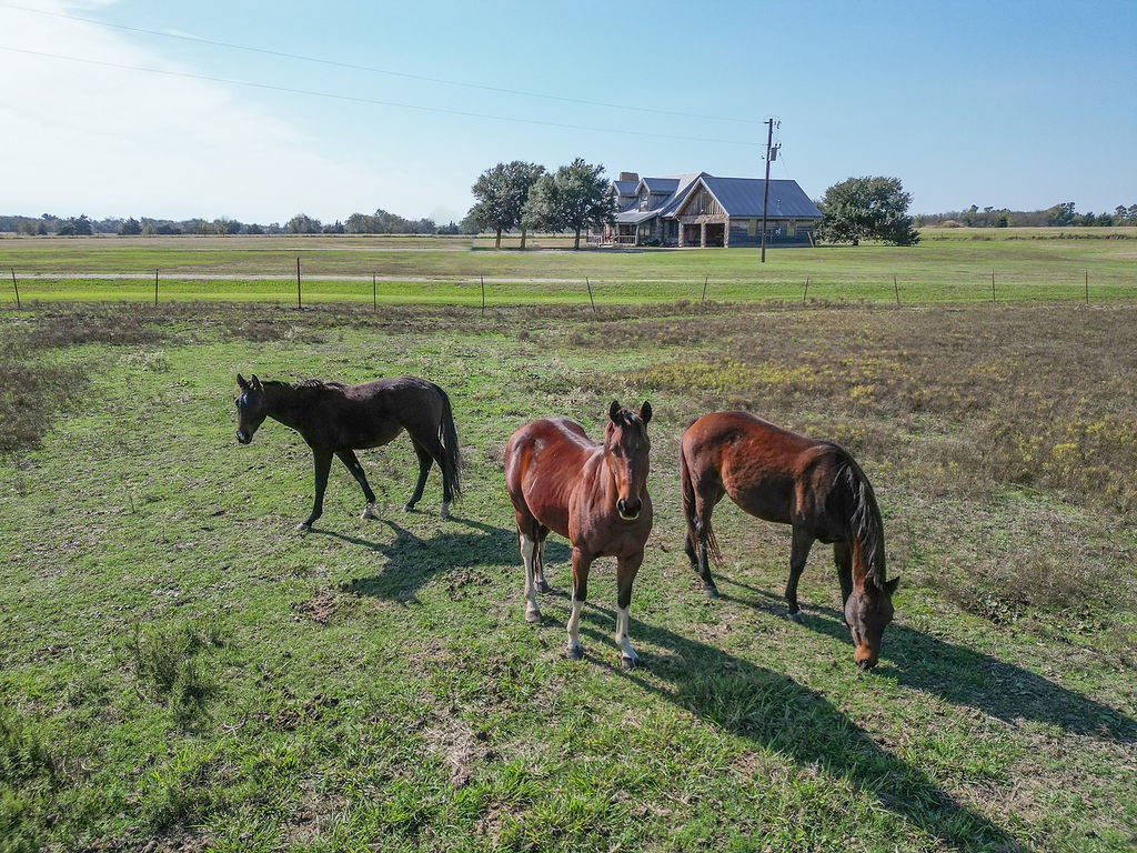 411 Rs County Road 4525 Point TX 75472