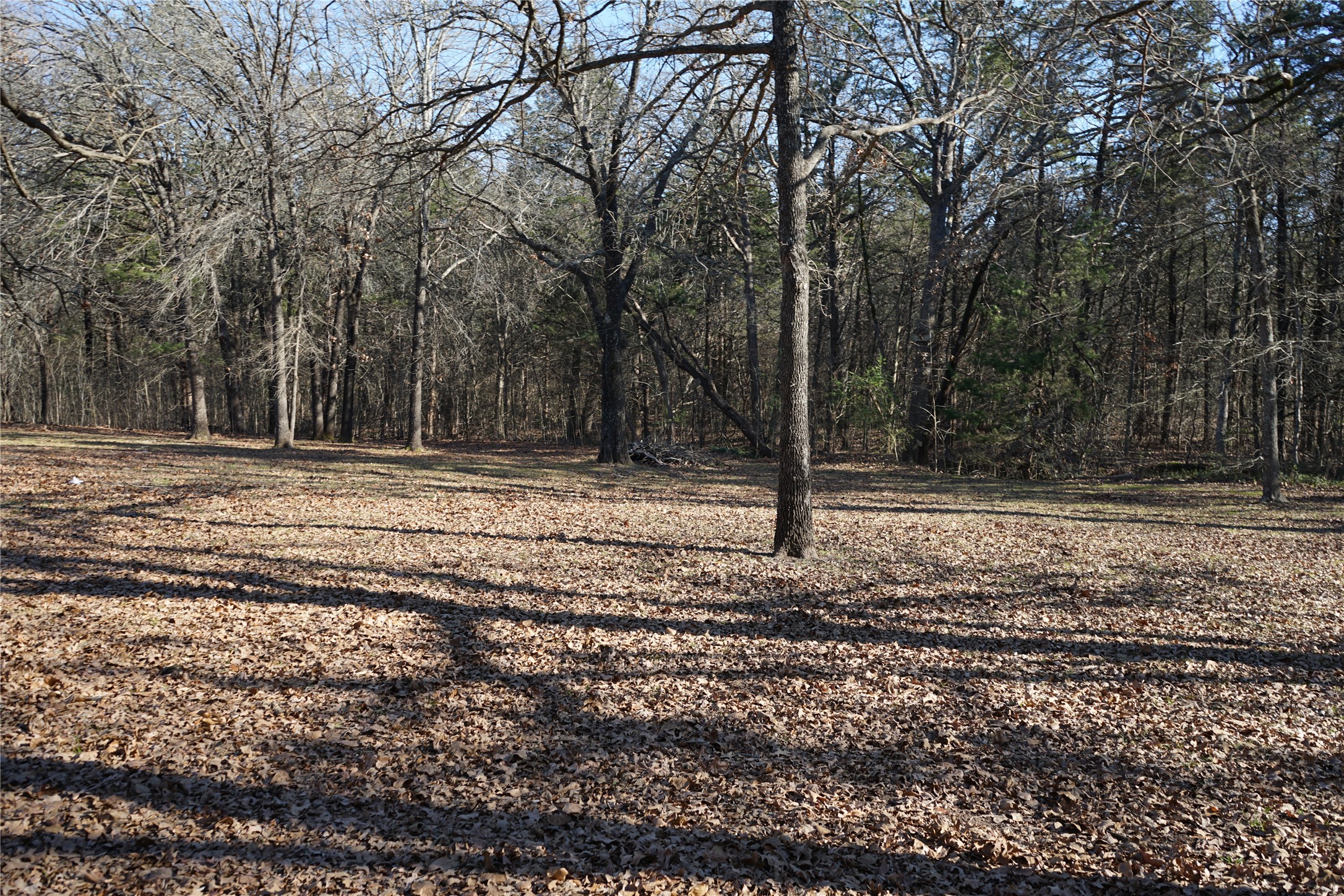 632 Saddle Tree Lane Denison TX 75021