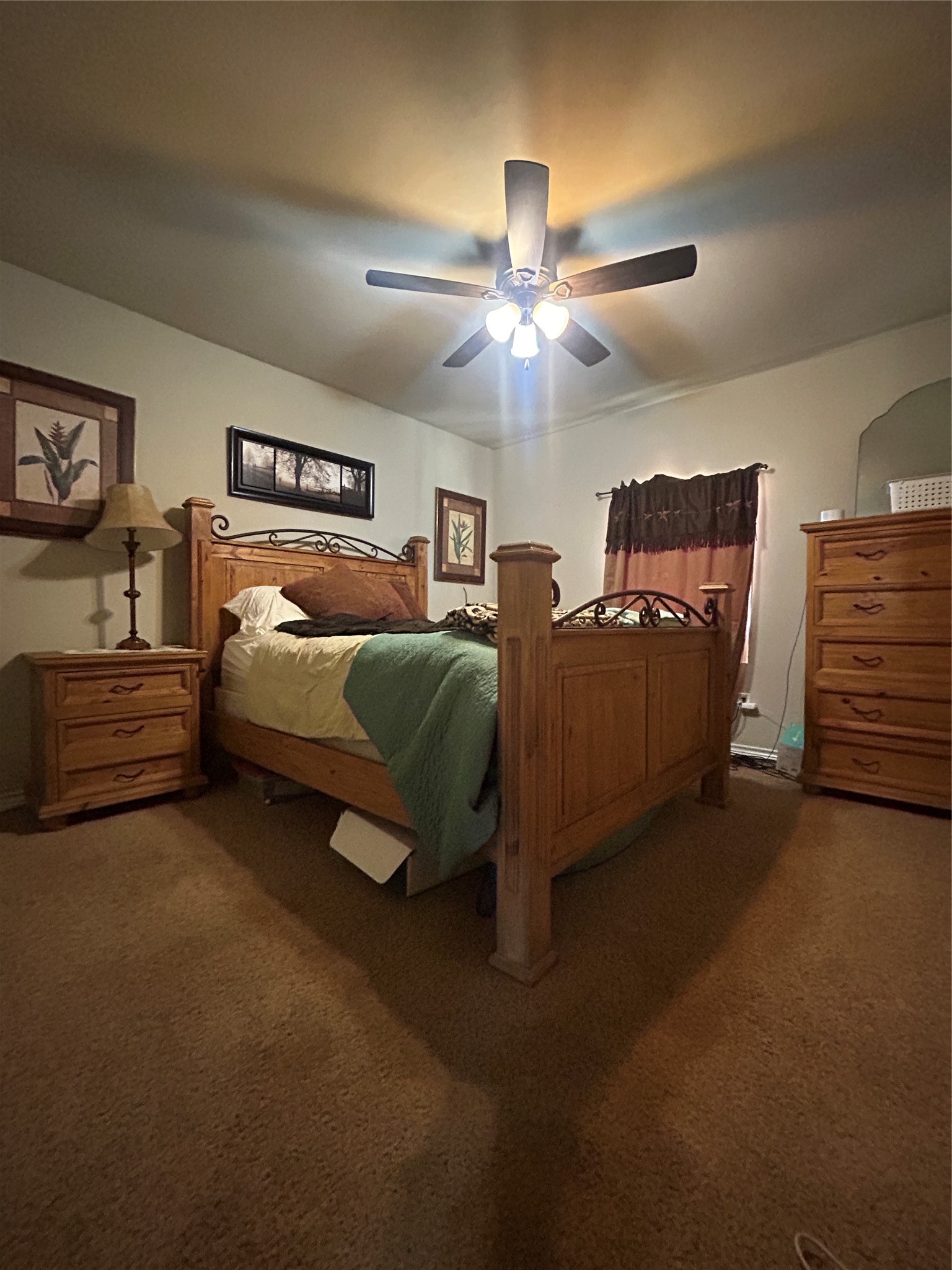 198 Tilda Jane Lane Graham TX 76450