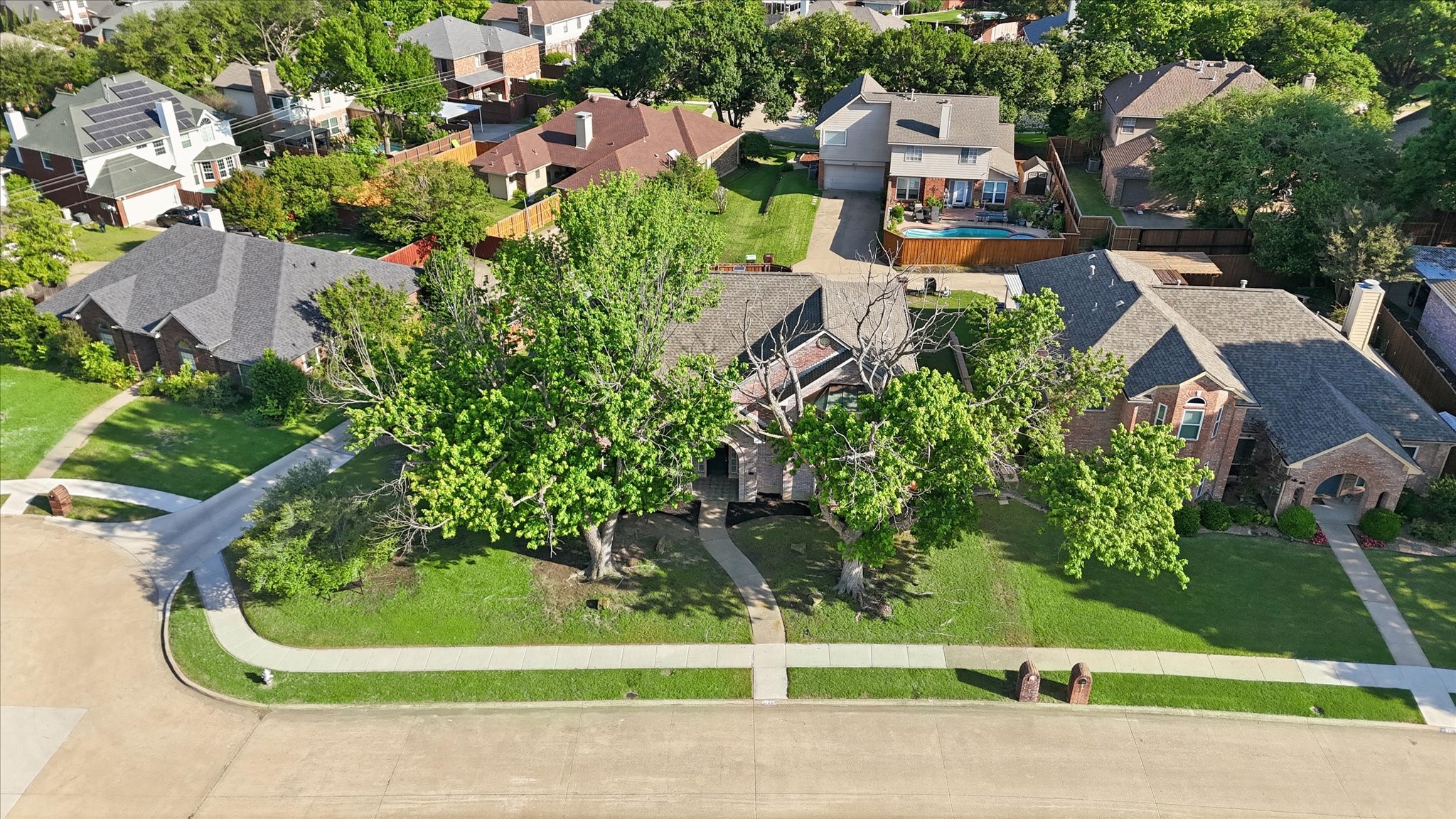 1904 Brabant Drive Plano TX 75025