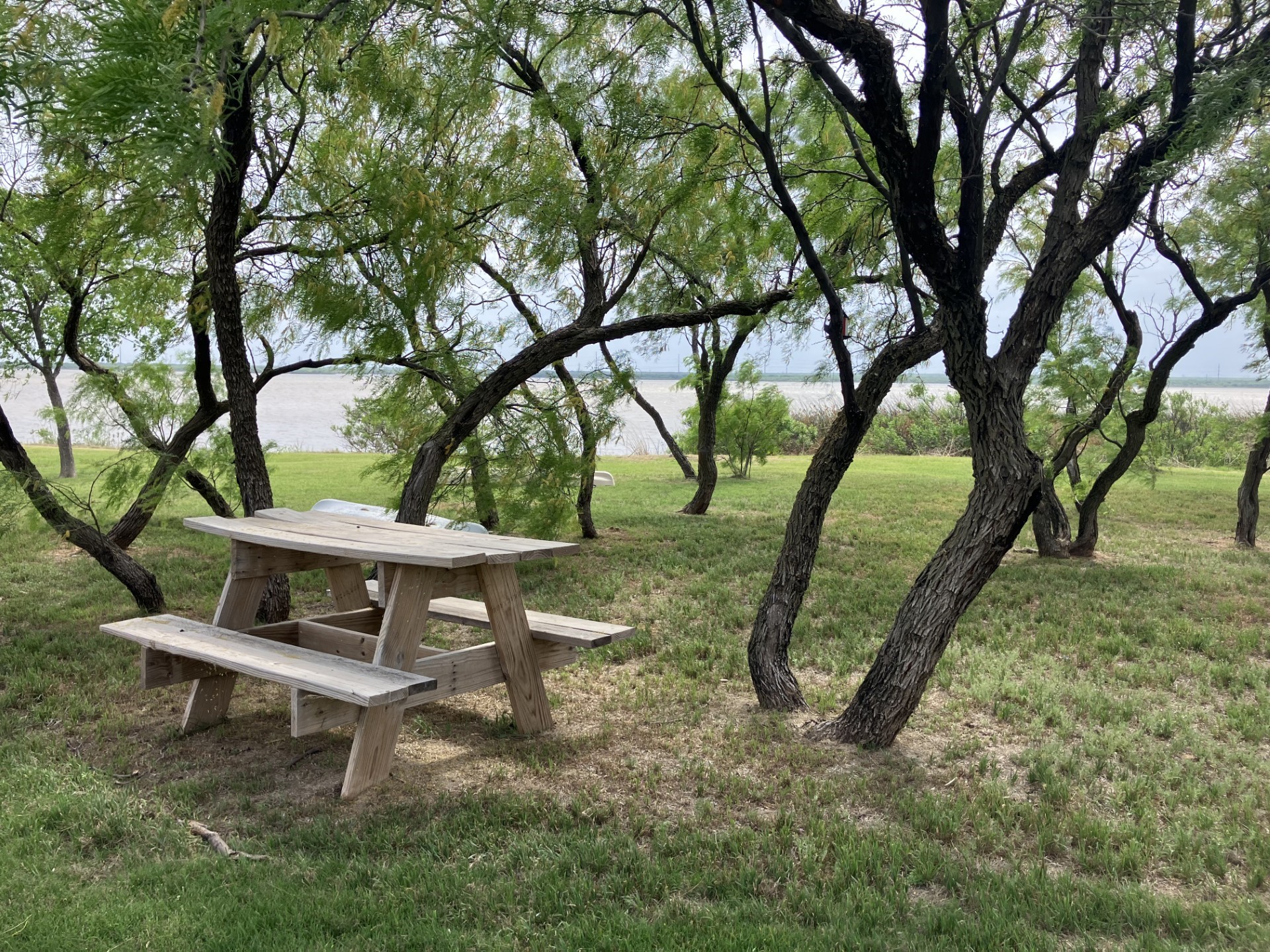 698 Blue Cat Boulevard Haskell TX 79521
