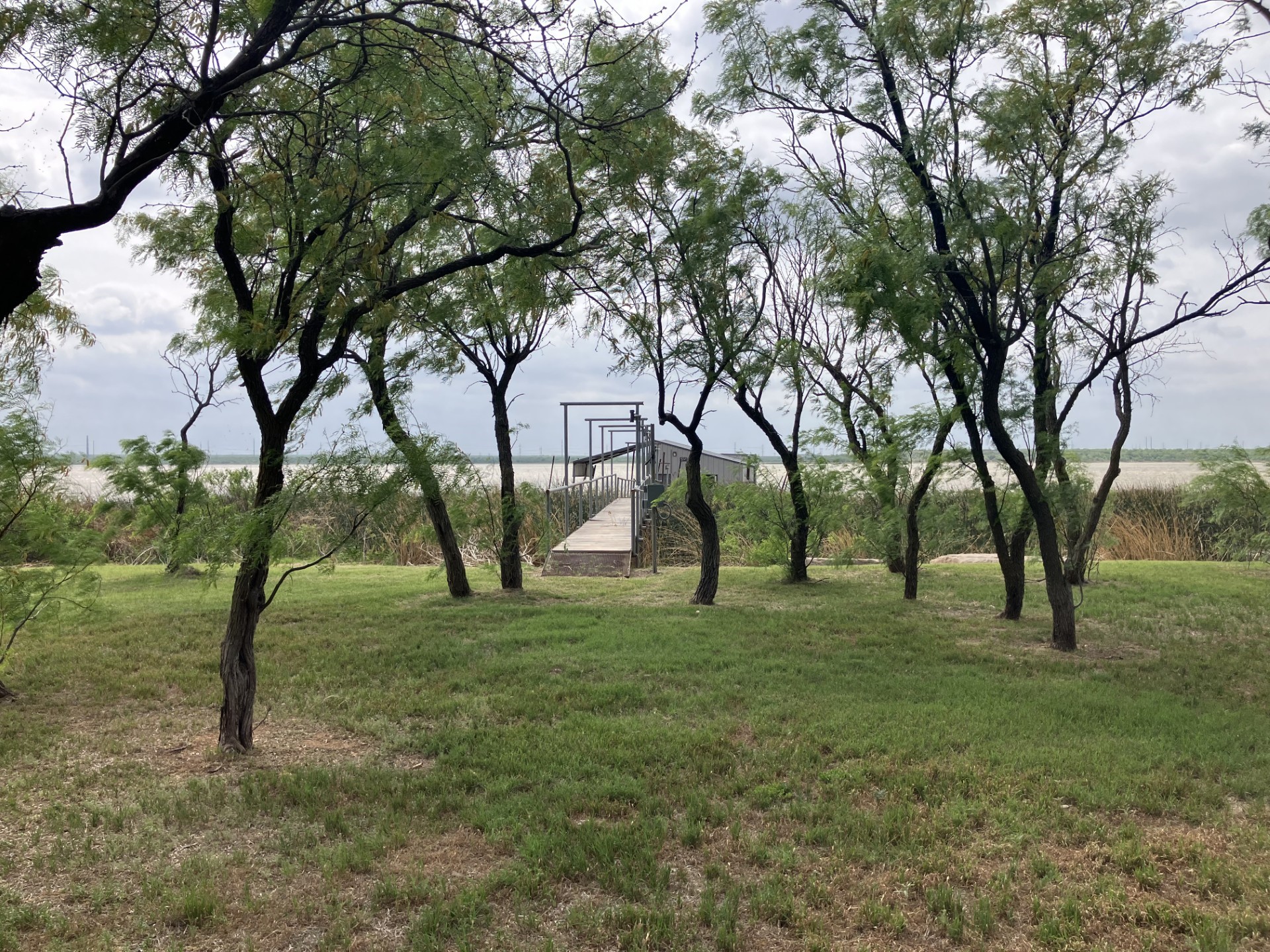 698 Blue Cat Boulevard Haskell TX 79521