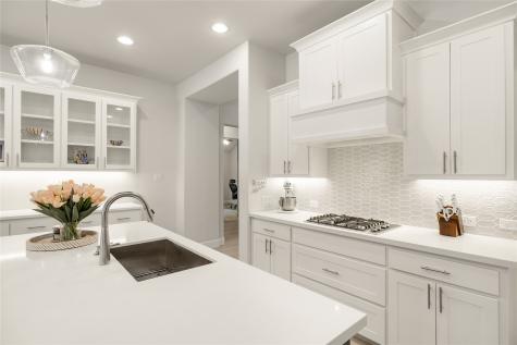 3040 Pedigree Court Celina TX 75009