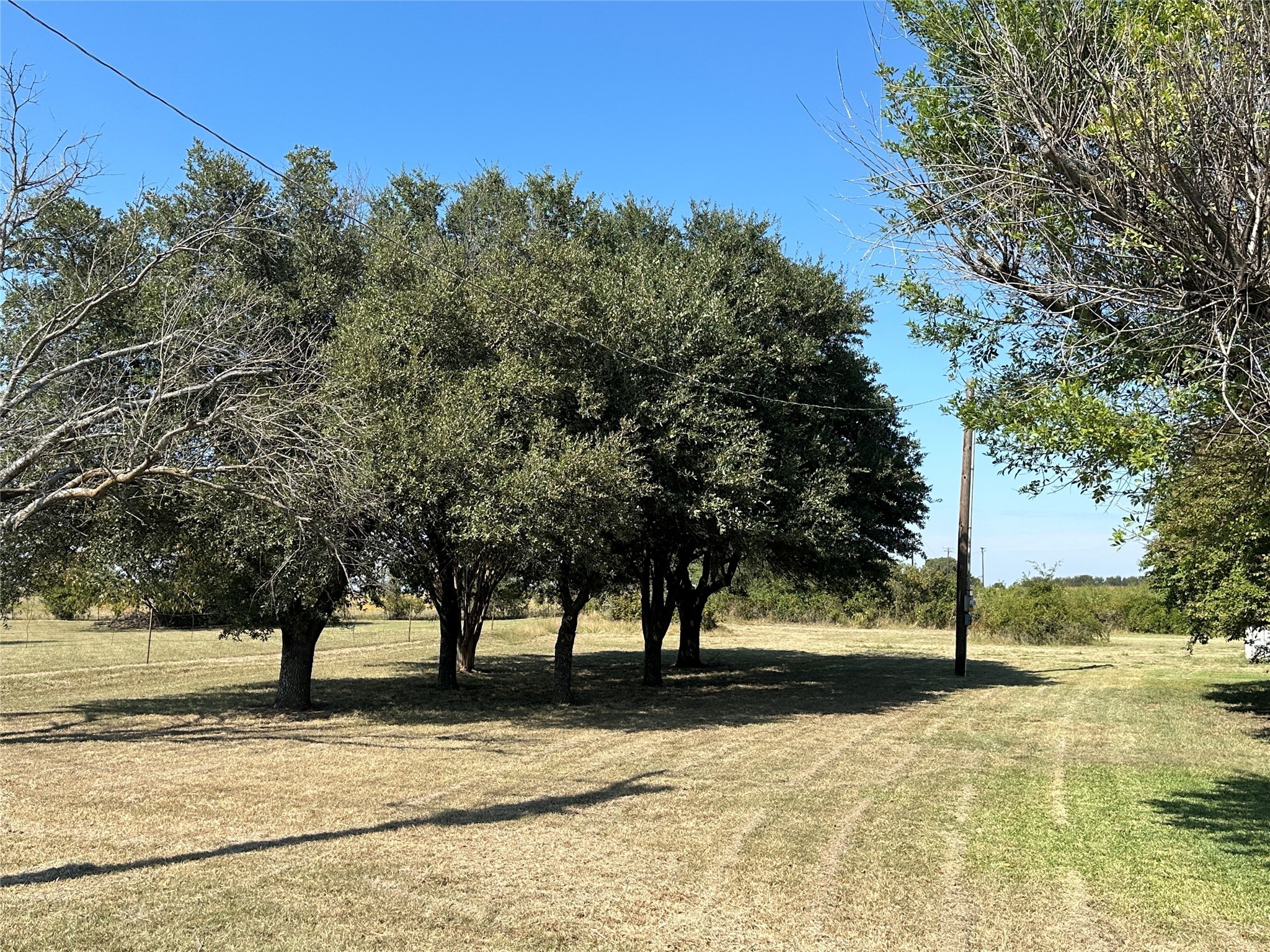 226 Cr 1557 Chico TX 76431