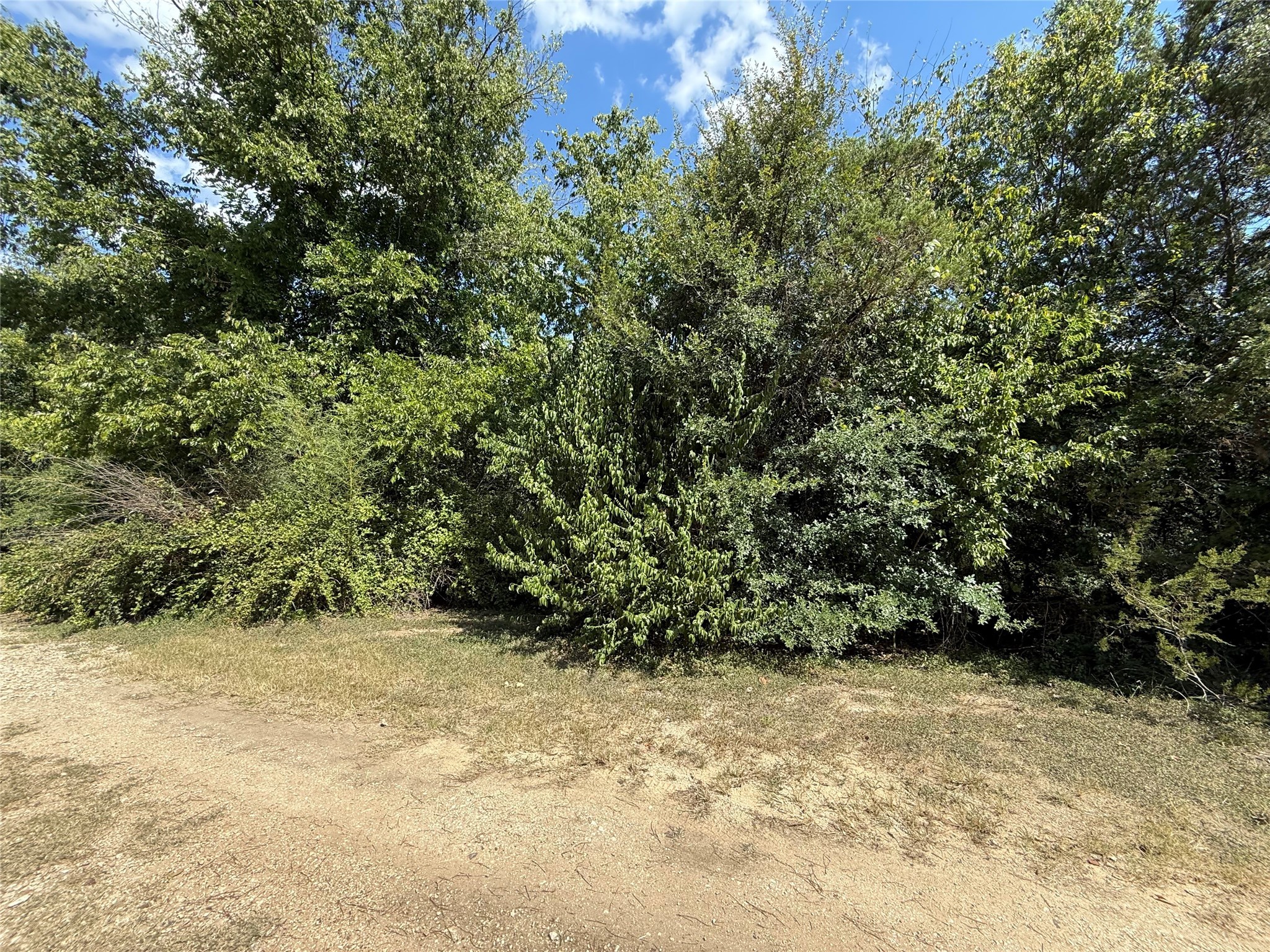 120 Live Oak Spur Whitney TX 76692