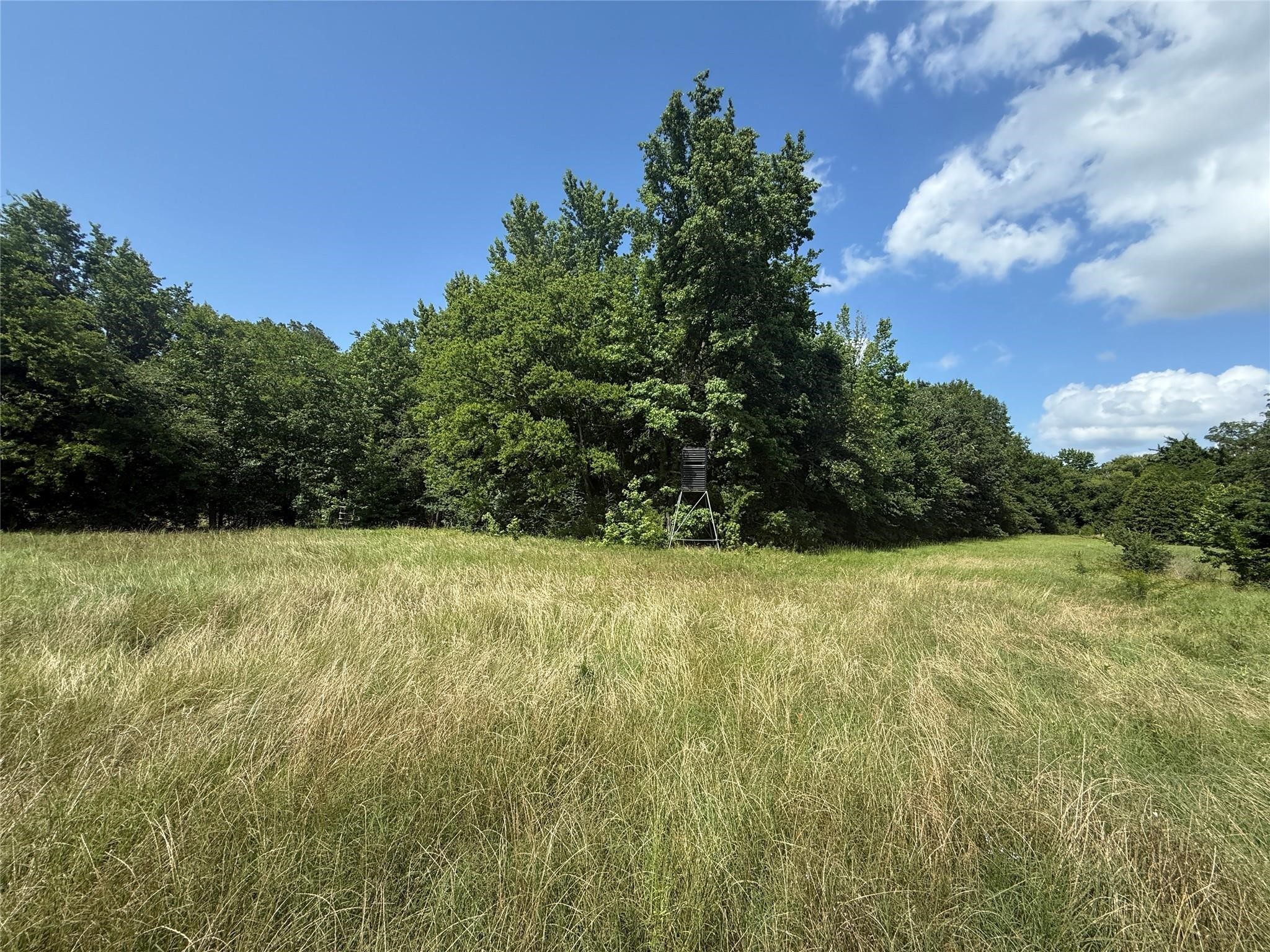 11591-2 Farm Road 269 S Pickton TX 75471