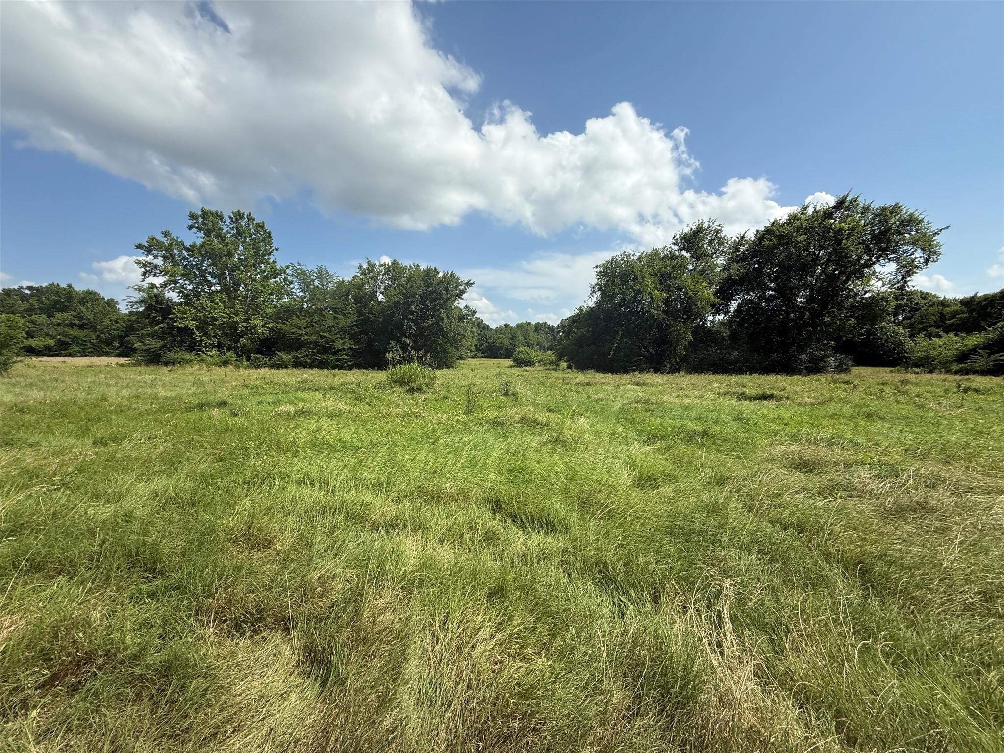 11591-2 Farm Road 269 S Pickton TX 75471