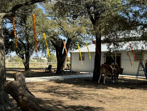 9470 S Highway 377 Pilot Point TX 76258