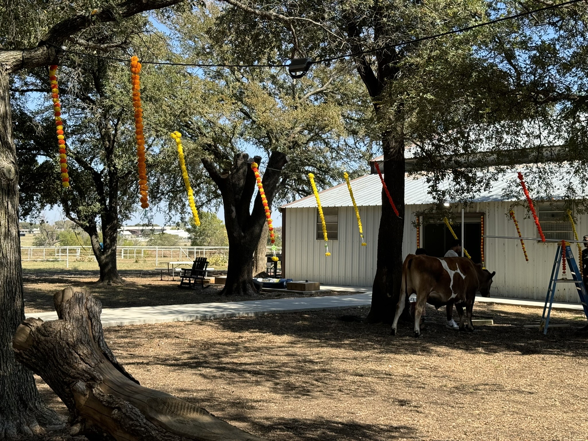9470 S Highway 377 Pilot Point TX 76258