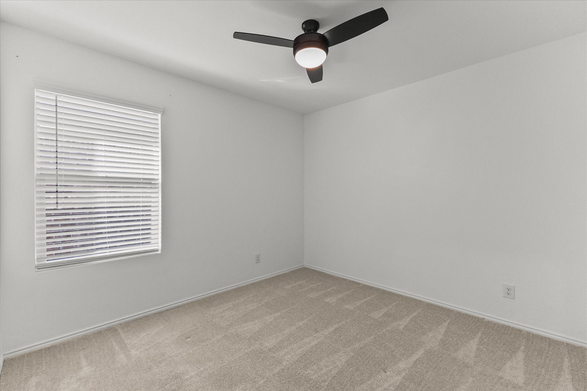 1937 Aves Glen Lane Forney TX 75126