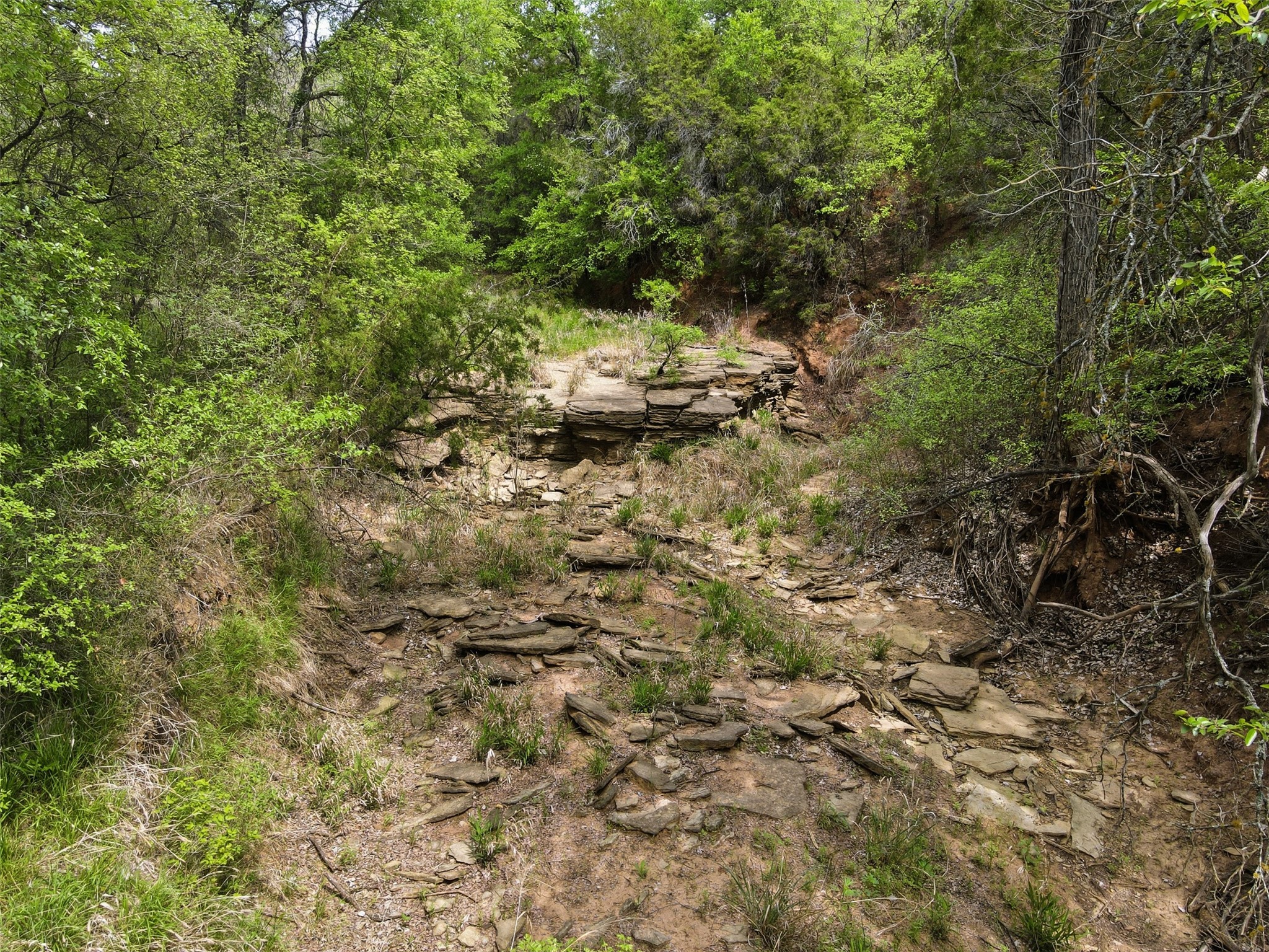 825 Benavides Lane Mineral Wells TX 76067