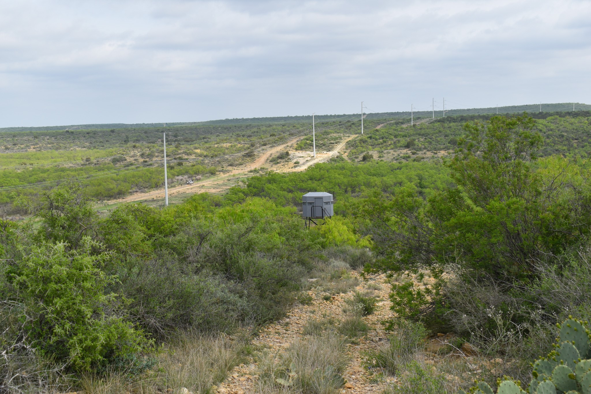 3408 Cr 312 Voss TX 76888