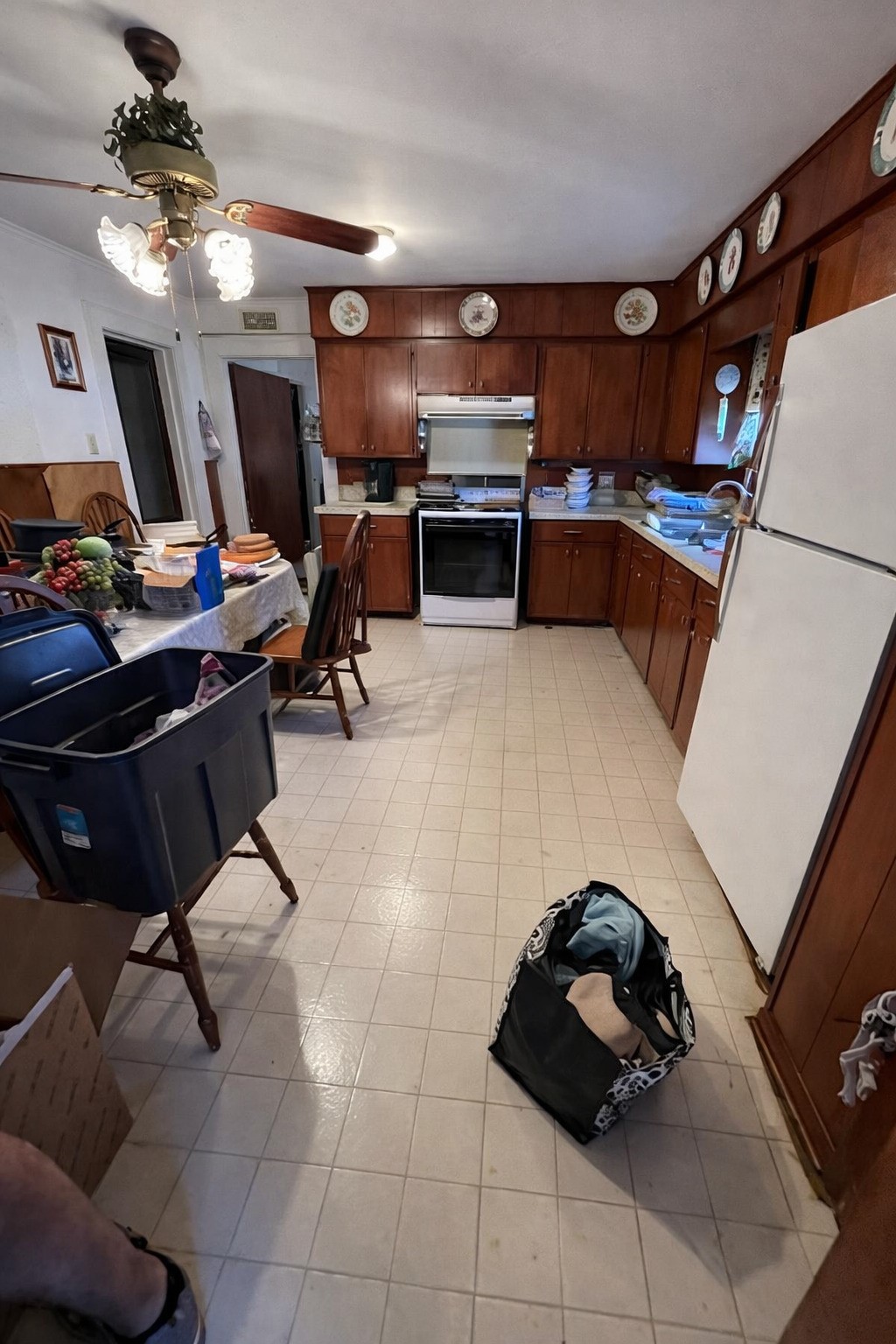 115 N Adkisson Lane Jewett TX 75846