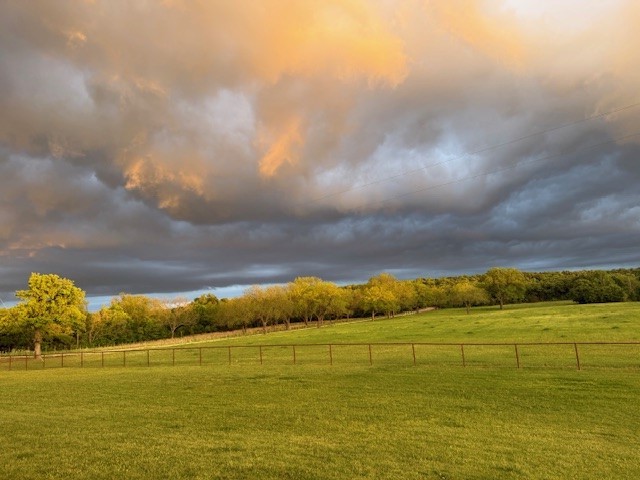 1079 Union Hill Road Mineral Wells TX 76067