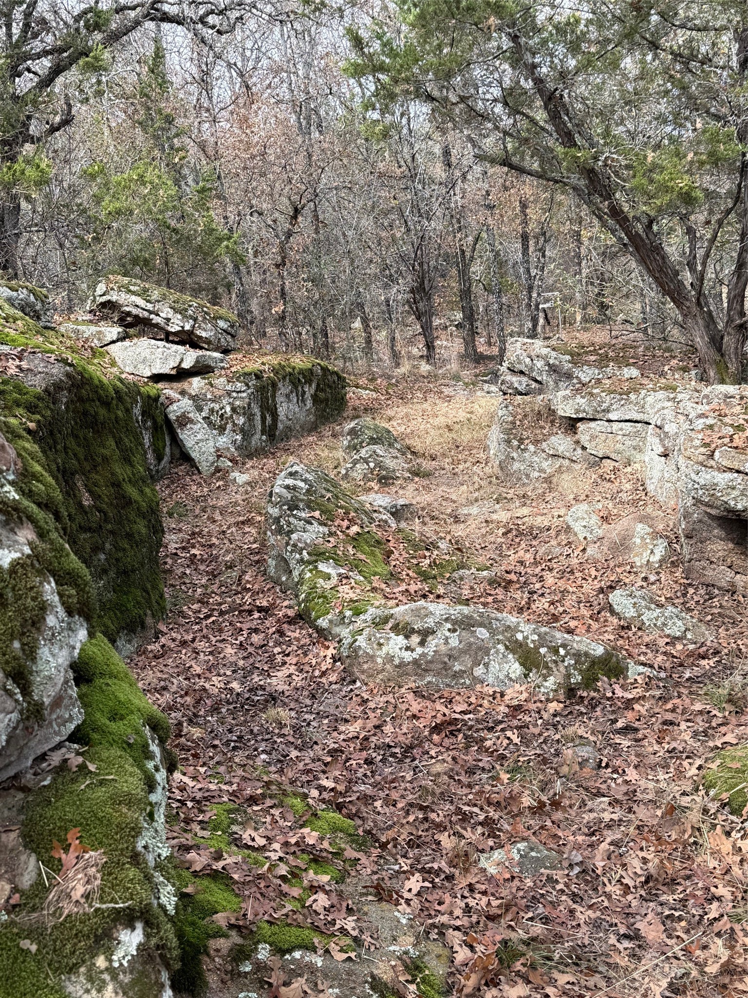 1079 Union Hill Road Mineral Wells TX 76067