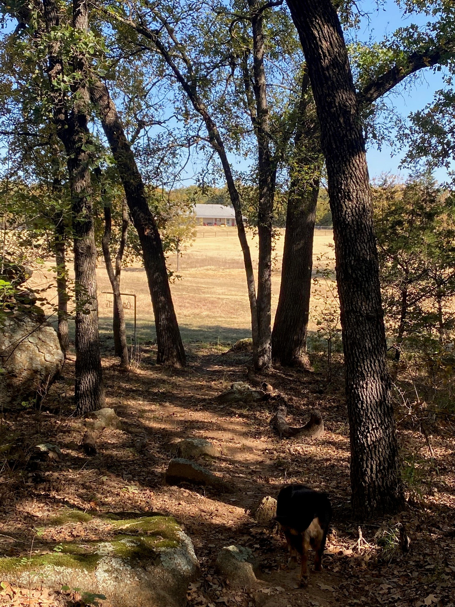1079 Union Hill Road Mineral Wells TX 76067