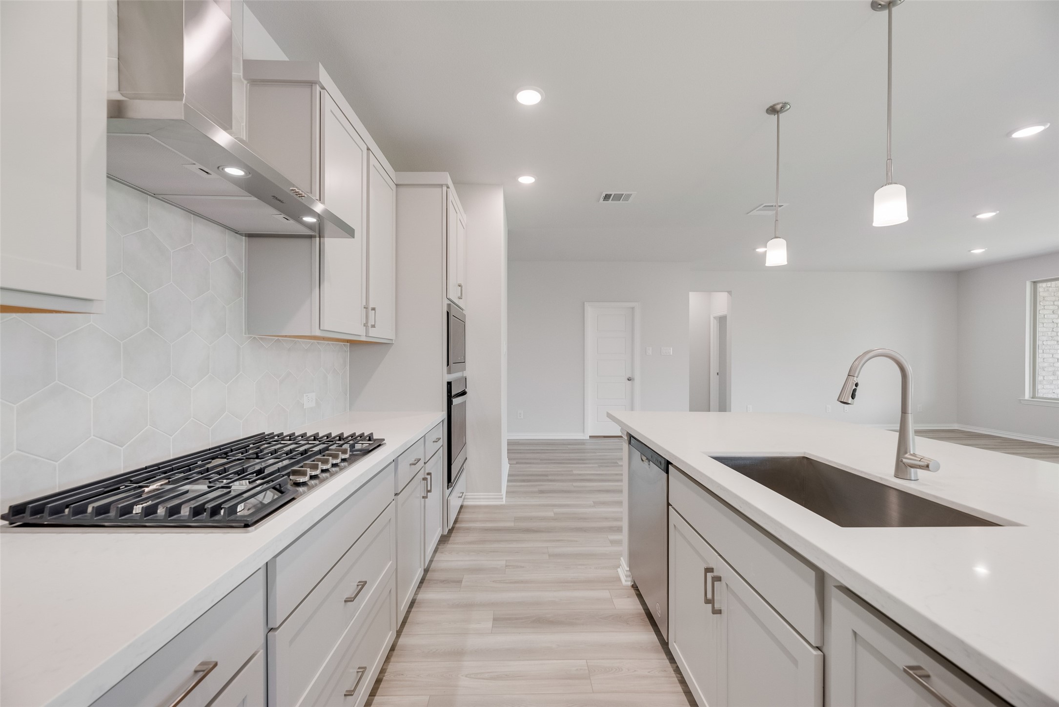 15005 Sagasta Court Little Elm TX 75068