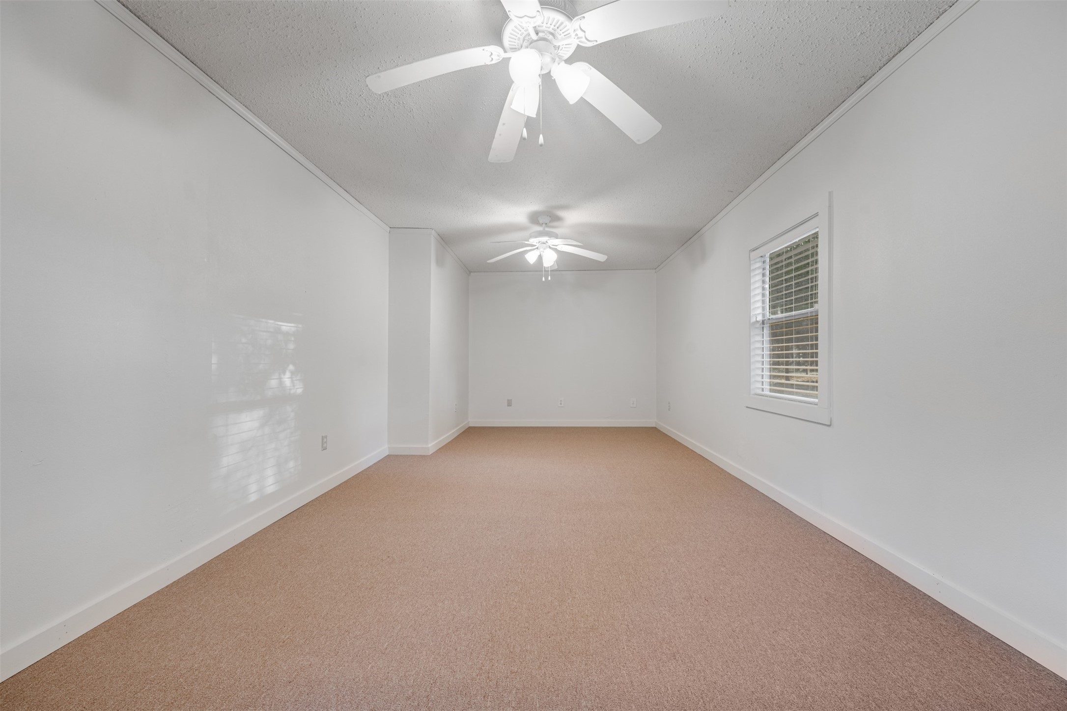 443 Copperhead Trail Powderly TX 75473