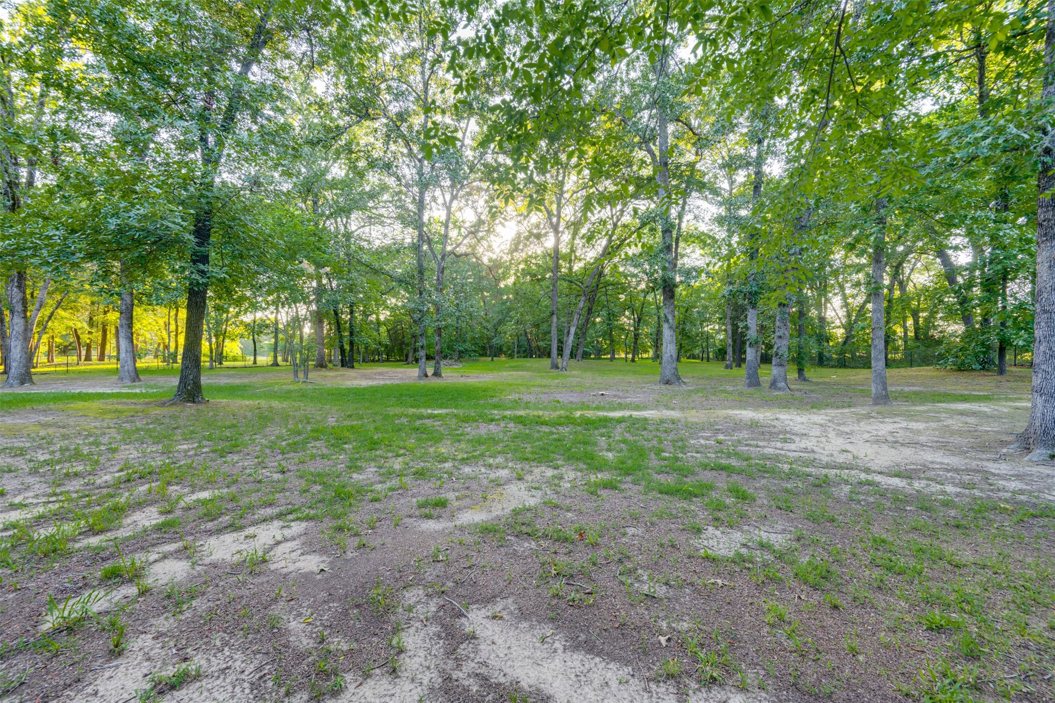 443 Copperhead Trail Powderly TX 75473