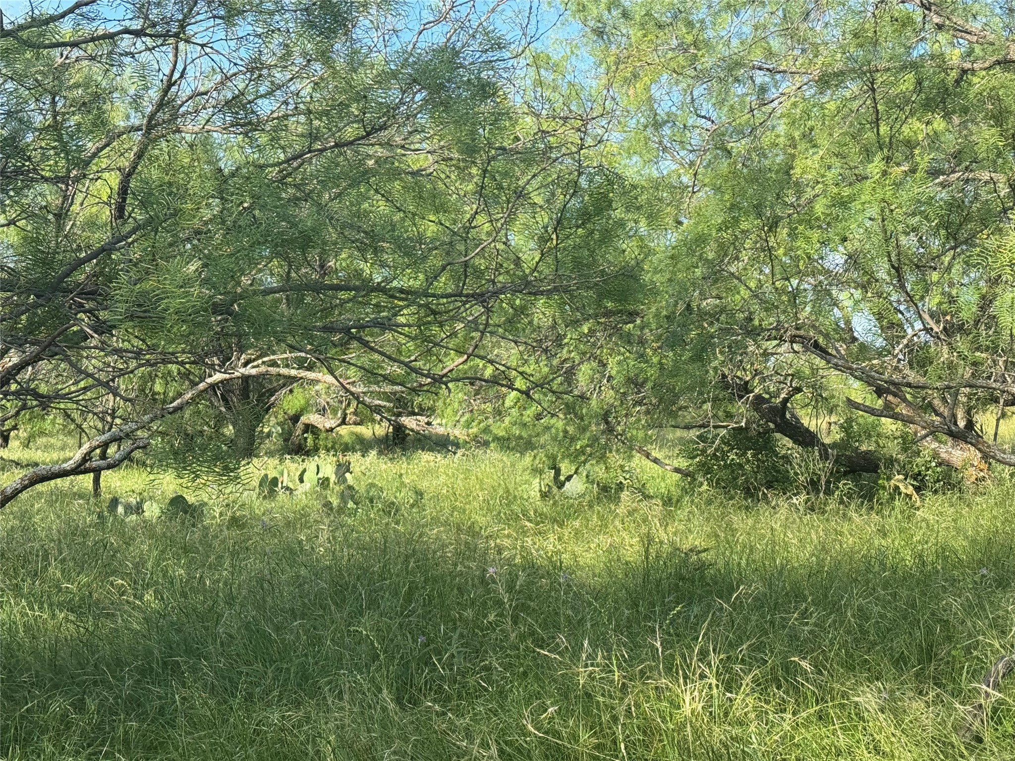 794 W Antelope Road Jacksboro TX 76389