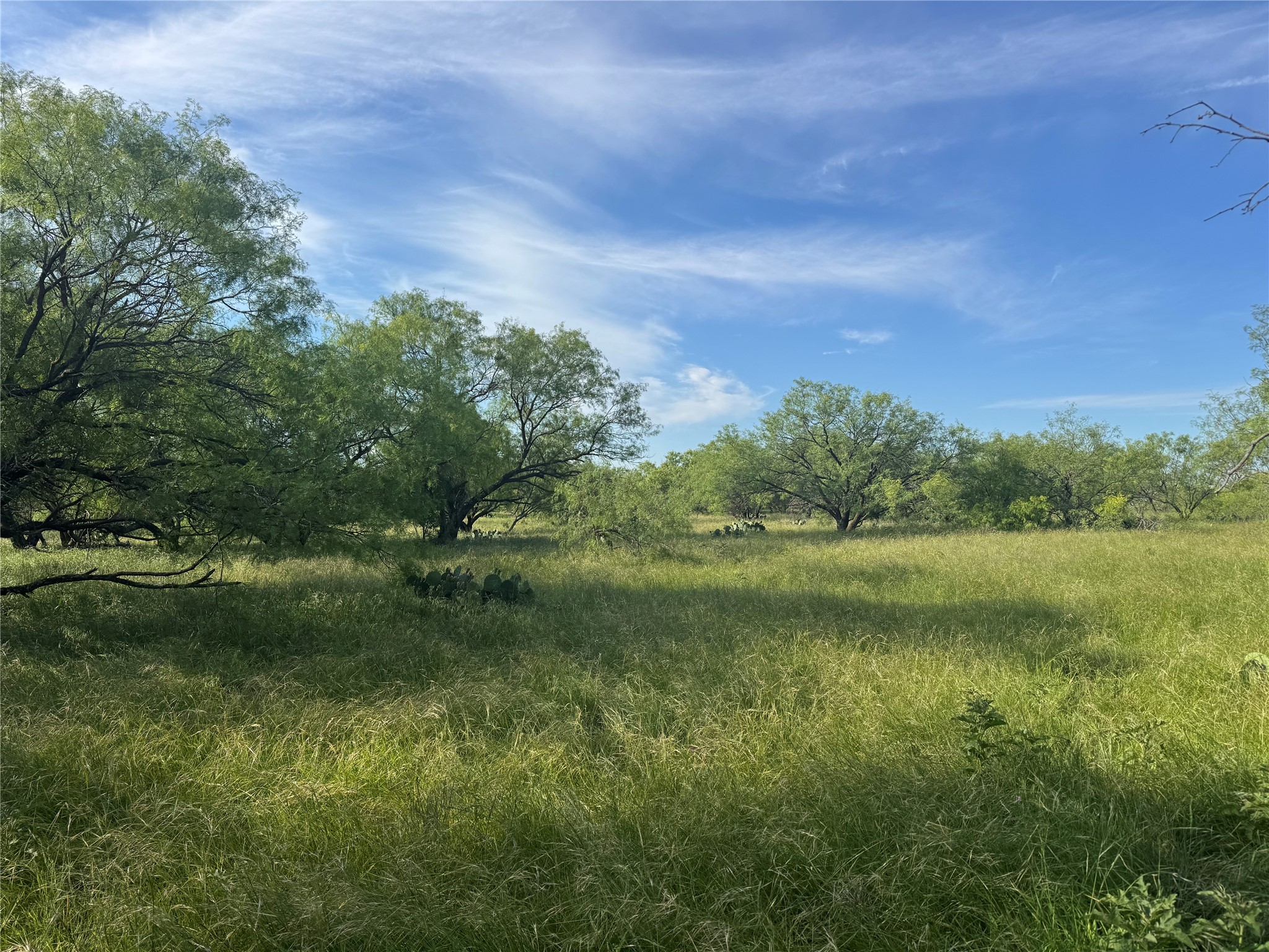 794 W Antelope Road Jacksboro TX 76389