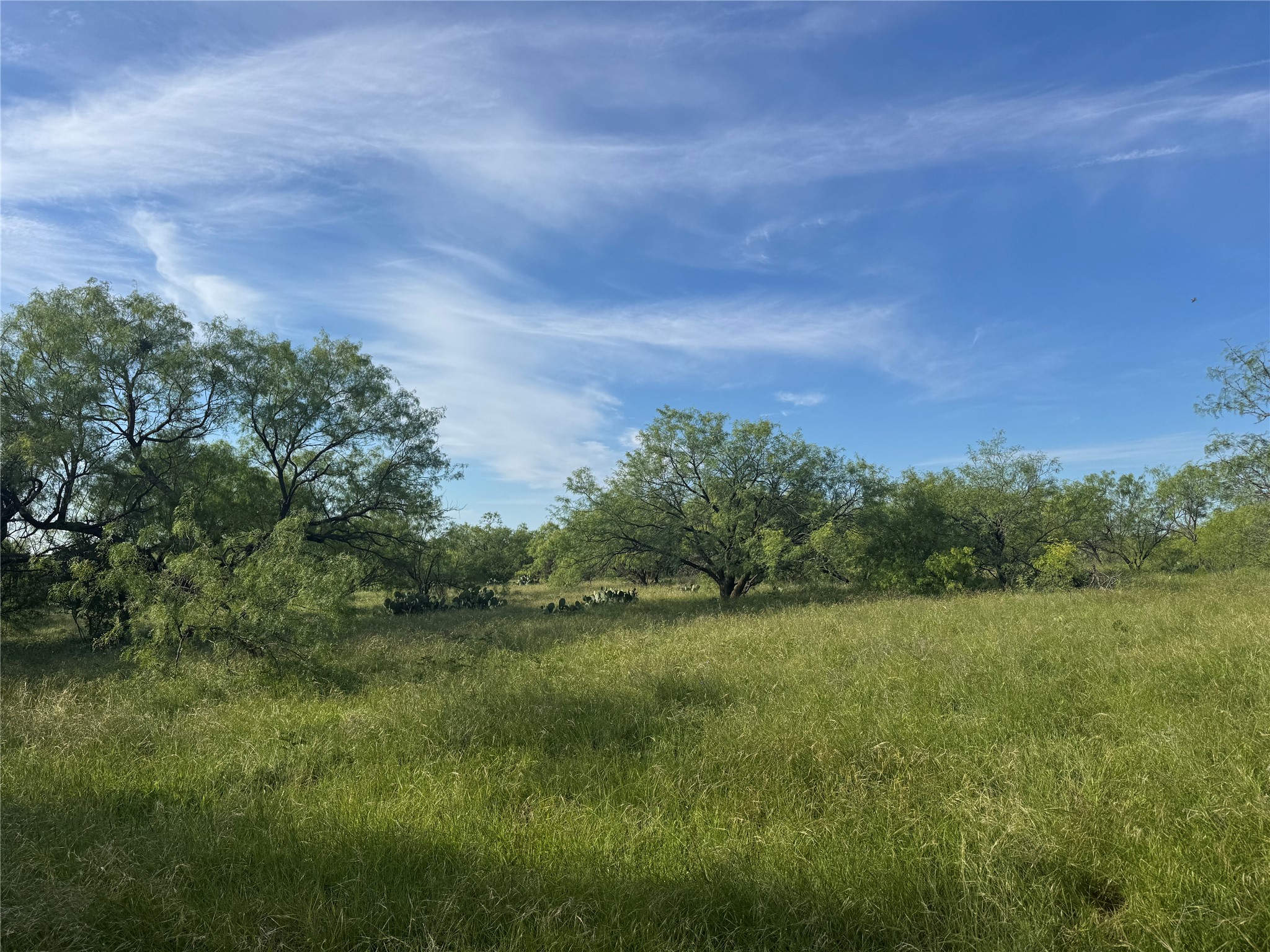 794 W Antelope Road Jacksboro TX 76389