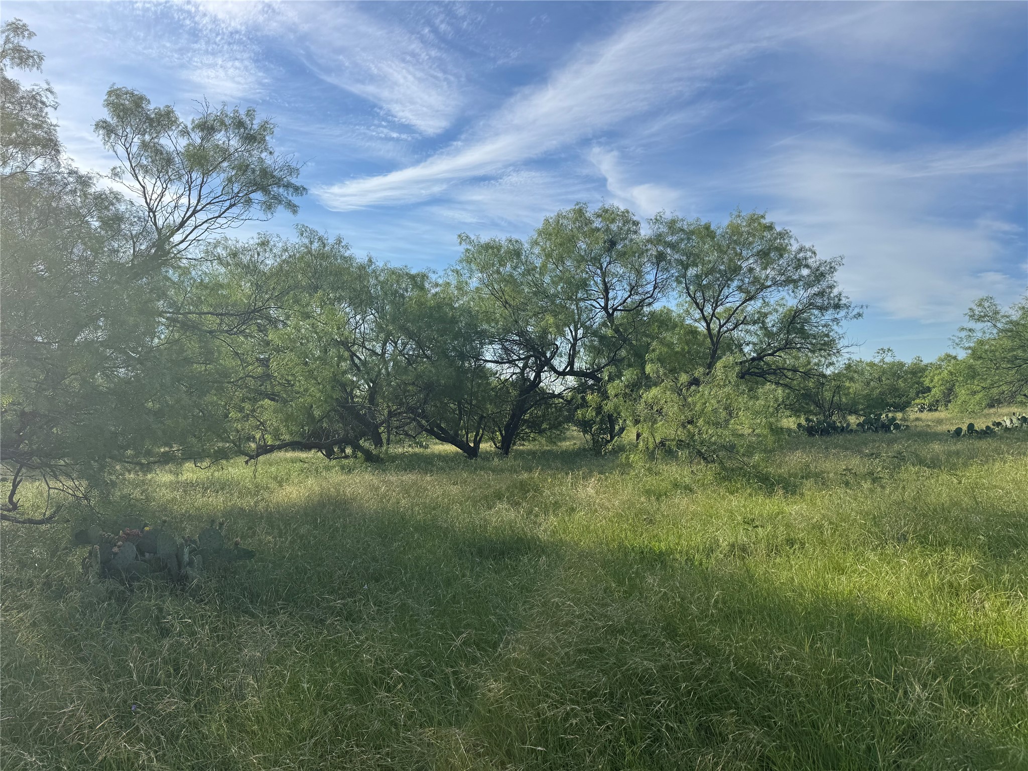 794 W Antelope Road Jacksboro TX 76389