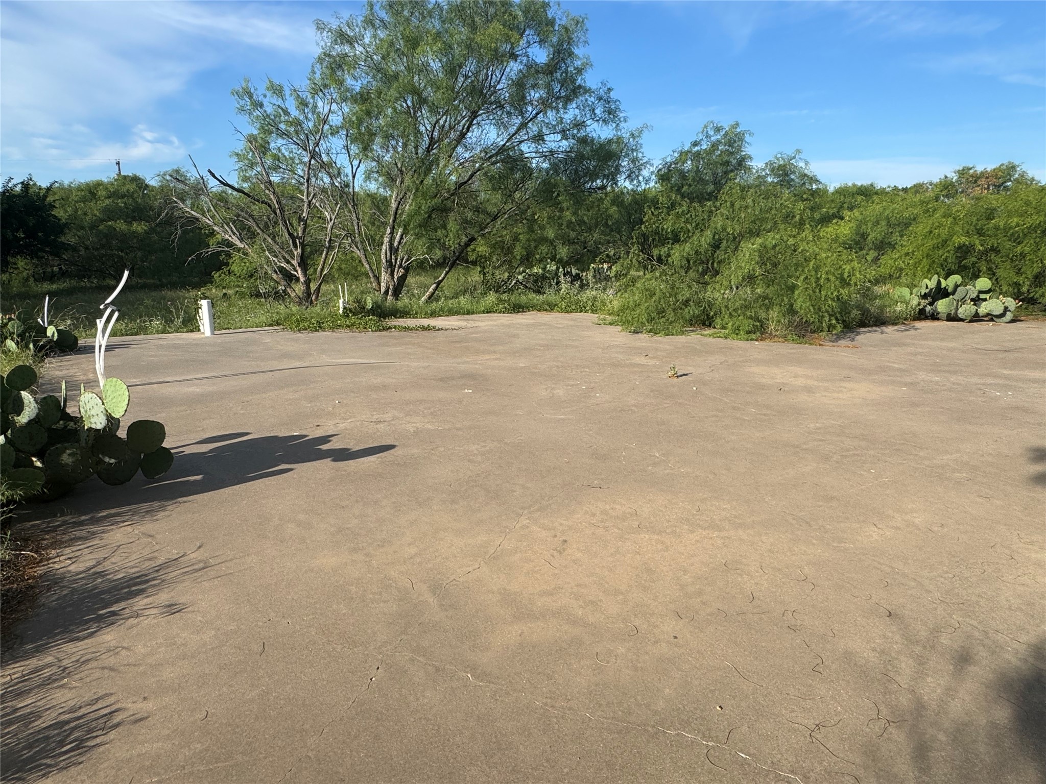 794 W Antelope Road Jacksboro TX 76389