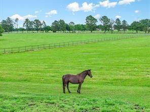 1100 Vz County Road 3419 Wills Point TX 75169