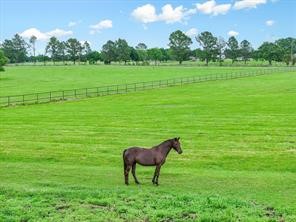 1100 Vz County Road 3419 Wills Point TX 75169