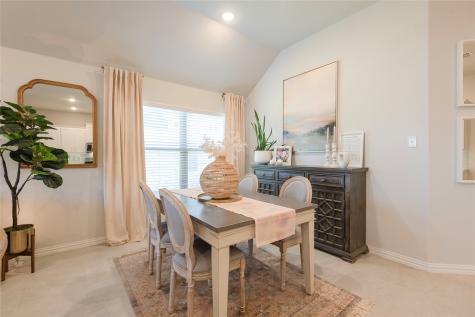 1229 Sunbeam Cove Anna TX 75409
