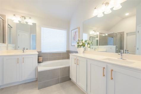 1229 Sunbeam Cove Anna TX 75409