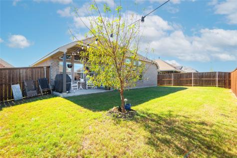 1229 Sunbeam Cove Anna TX 75409